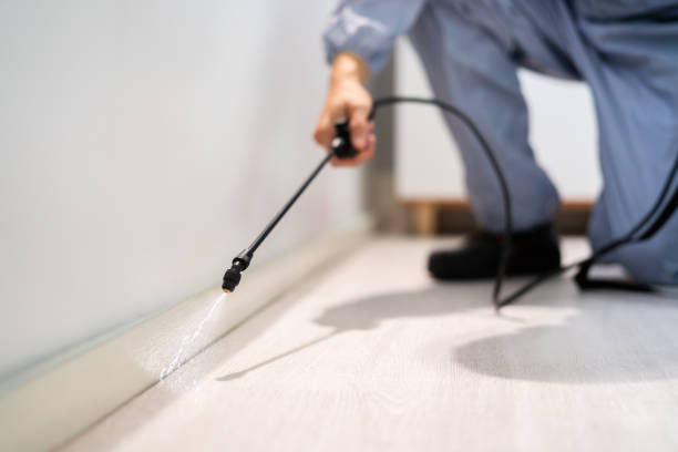 Licensed Rodent Control service in Delhi Hills, OH - Nex Pest Control