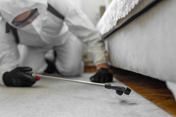Professional Rodent Control technician working in Delhi Hills, OH