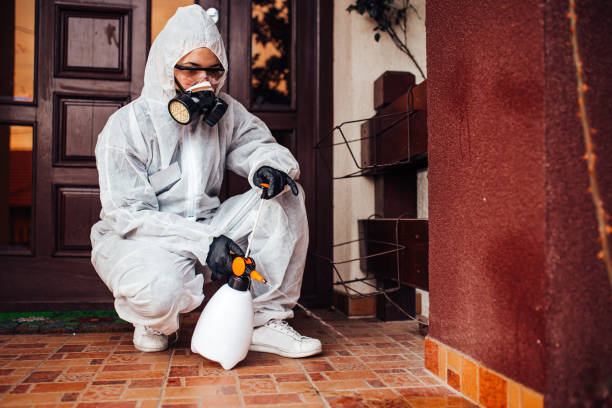 Reliable Rodent Control contractor in Delhi Hills, OH by Nex Pest Control