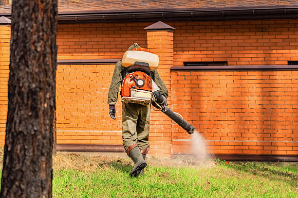 Trusted Ant Control service in Delhi Hills, OH - Nex Pest Control